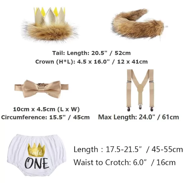 Baby Boys Cake Smash First Birthday Outfit Bloomers Suspender Bowtie Set Lion Headband Tail Costume 5pcs Photo PropsWhite  Wild One 02