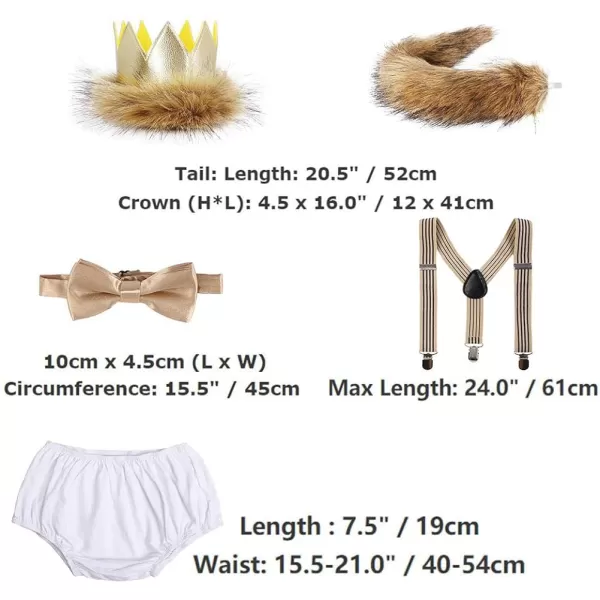 Baby Boys Cake Smash First Birthday Outfit Bloomers Suspender Bowtie Set Lion Headband Tail Costume 5pcs Photo PropsWhite 02