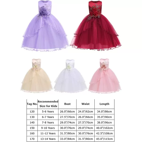 Flower Girl Lace Dress for Kids Wedding Bridesmaid Pageant Party Formal Gown Princess Communion Tulle VBack DressesChampagne  Flower