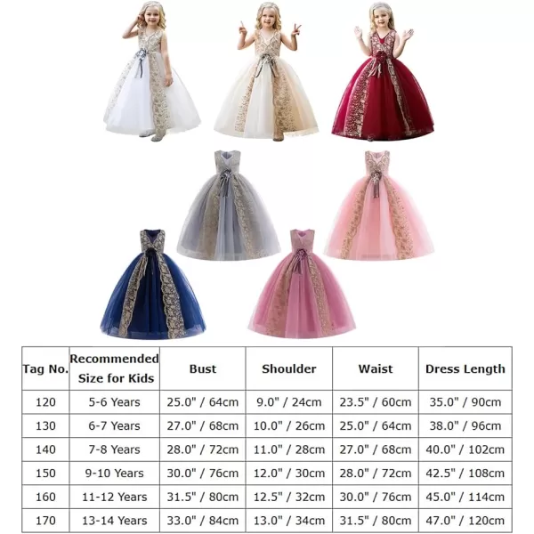 Flower Girl Lace Dress for Kids Wedding Bridesmaid Pageant Party Formal Gown Princess Communion Tulle VBack DressesChampagne