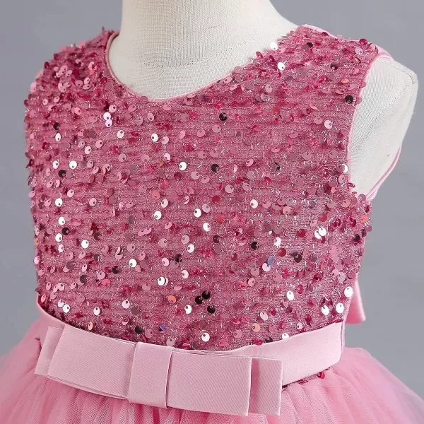 Flower Girl Lace Dress for Kids Wedding Bridesmaid Pageant Party Formal Long Gown Princess Communion Tulle Dresses 312Pink  Ruffle