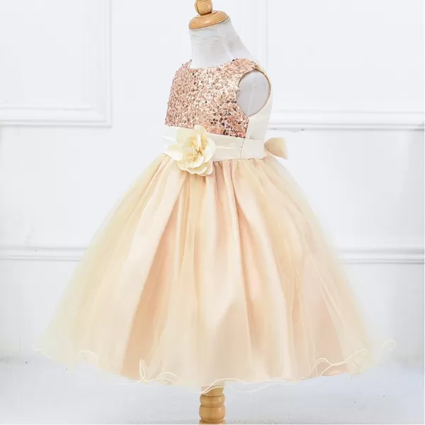 Flower Girls Sequins Rainbow Tutu Dress for Kids Baby Wedding Bridesmaid Pageant Birthday Party Princess Tulle Dresses002 Champagne