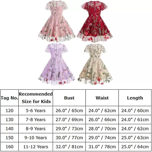 IDOPIP Embroidery Flower Girl Lace Dress for Kids Wedding Pageant Party First Communion Dresses Princess Bridesmaid Maxi GownPink  Short Sleeve