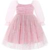 imageIDOPIP Toddler Baby Girls Dresses Long Puff Sleeve Pageant Mesh Tutu Dress Infant Wedding Baptism Photo Shoot Tulle DressSnowflake