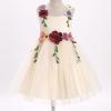 imageIDOPIP Toddler Baby Embroidery Flower Girl Dress for Kids Wedding Pageant Party Prom Gown Communion Birthday Tulle DressesChampagne