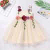 imageIDOPIP Toddler Baby Embroidery Flower Girl Dress for Kids Wedding Pageant Party Prom Gown Communion Birthday Tulle DressesChampagne
