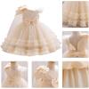 imageIDOPIP Toddler Baby Girls Sequin Heart Tutu Dress Pageant Wedding Flower Girl Dresses Princess Birthday Party Bowknot GownsChampagne
