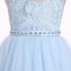 imageIDOPIP Flower Girl Dresses for Wedding Lace Tulle Princess Pageant Dresses for Girls Kids Prom First Communion Birthday GownsBlue