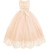 imageIDOPIP Flower Girl Dresses for Wedding Lace Tulle Princess Pageant Dresses for Girls Kids Prom First Communion Birthday GownsChampagne