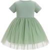 imageIDOPIP Baby Girls 1st Birthday Outfit Embroidery Flower Tulle Tutu Princess Pageant Party Dress Headband Set for Cake SmashGreen  Short Sleeve