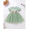 imageIDOPIP Baby Girls 1st Birthday Outfit Embroidery Flower Tulle Tutu Princess Pageant Party Dress Headband Set for Cake SmashGreen  Short Sleeve