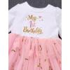 imageIDOPIP Baby Girls 1st Birthday Outfit Embroidery Flower Tulle Tutu Princess Pageant Party Dress Headband Set for Cake SmashPink