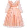 imageIDOPIP Princess Dress for Girls Sparkle Star Pageant Mesh Dress Formal Birthday Prom Gown Glitter Christening Tulle DressStar Print