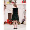 imageIDOPIP Sequin Velvet Dress for Baby Girls Toddler First Christmas Birthday Party Dresses Princess Pageant Fall Winter ClothesGreen