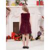 imageIDOPIP Sequin Velvet Dress for Baby Girls Toddler First Christmas Birthday Party Dresses Princess Pageant Fall Winter ClothesWine Red