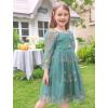 imageIDOPIP Toddler Baby Girls Dresses Long Puff Sleeve Pageant Mesh Tutu Dress Infant Wedding Baptism Photo Shoot Tulle DressGreen Floral