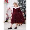 imageIDOPIP Toddler Girls Sparkle Sequins Velvet Dress Princess Birthday Party Christmas Dresses Winter Long Sleeve Glitters DressWine