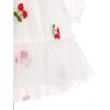imageIDOPIP Toddler Girls Tutu Dress Mesh Long Sleeve Strawberry Heart Valentine Birthday Party Dresses Pageant Ruffle Tulle GownWhite Cherry