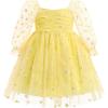 Yellow Daisy