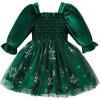 imageIDOPIP Toddler Baby Girls Velvet Tutu Dress Smocked Snowflake Christmas Princess Birthday Party Dress Fall Winter ClothesGreen