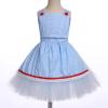 imageIDOPIP Kids Girls Halloween Dress up Costume Princess Birthday Party Tutu Dress with Headwear Accessories for Photo ShootBlue Plaid