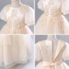 imageIDOPIP Flower Girl Sequin Applique Dress for Kids Wedding Pageant Party Long Gown Princess Communion Handkerchief Tulle DressChampagne