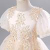 imageIDOPIP Flower Girl Sequin Applique Dress for Kids Wedding Pageant Party Long Gown Princess Communion Handkerchief Tulle DressChampagne