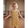 imageIDOPIP Kids Girls 1920s Flapper Dress Tassels Sequins Fringe Latin Dance Dress Gatsby Halloween Party Ballroom Dance CostumesGold