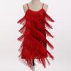 imageIDOPIP Kids Girls 1920s Flapper Dress Tassels Sequins Fringe Latin Dance Dress Gatsby Halloween Party Ballroom Dance CostumesRed