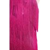 imageIDOPIP Kids Girls 1920s Flapper Dress Tassels Sequins Fringe Latin Dance Dress Gatsby Halloween Party Ballroom Dance CostumesHot Pink