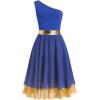 imageIDOPIP Metallic Color Block Praise Dance Overlay Dress for Women Asymmetrical One Shoulder Worship Tunic Liturgical DancewearRoyal Blue