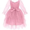 imageIDOPIP Toddler Baby Girls Velvet Tutu Dress Bowknot Ruffle Tulle Princess Christmas Birthday Party Dress Fall Winter ClothesDusty Pink  Star