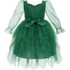 imageIDOPIP Toddler Baby Girls Velvet Tutu Dress Bowknot Ruffle Tulle Princess Christmas Birthday Party Dress Fall Winter ClothesEmerald Green  Star