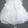 imageFlower Girl Flutter Bowknot Tutu Dress for Infant Baby Christening Baptism Formal Wedding Birthday Party Tulle DressesWhite