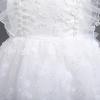 imageFlower Girl Flutter Bowknot Tutu Dress for Infant Baby Christening Baptism Formal Wedding Birthday Party Tulle DressesWhite