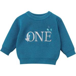 imageIDOPIP Toddler Baby Girls First Birthday Outfit Boho Embroidery One Sweater Top Knit Pullover Sweatshirt Fall Winter ClothesBlue Goose