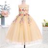 image:imageIDOPIP Embroidery Flower Girl Lace Dress for Kid Wedding Pageant Formal Communion Gown Princess Bridesmaid Maxi Tulle DressesApricot