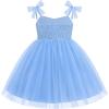image:imageIDOPIP Toddler Girls 1st 2nd 3rd Birthday Dress Tulle Smocked Dress Pageant Summer Bowknot Sundress for Photoshoot Party 16TBlue