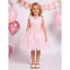 image:imageIDOPIP Toddler Girls Butterfly Birthday Dress Ruffle Tulle Flower Girl Wedding Pageant Formal Party Dress for Photo Shoot 16Pink