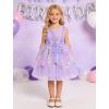 image:imageIDOPIP Toddler Girls Butterfly Birthday Dress Ruffle Tulle Flower Girl Wedding Pageant Formal Party Dress for Photo Shoot 16Rainbow Purple