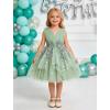 image:imageIDOPIP Toddler Girls Butterfly Birthday Dress Ruffle Tulle Flower Girl Wedding Pageant Formal Party Dress for Photo Shoot 16Sage Green