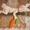 image:imageIDOPIP Newborn Baby Easter Bunny Photography Props Costume Boy Girl Crochet Knit Rabbit Hat Diaper Carrot 1st Birthday OutfitHat  Shorts  Carrot 3pcs