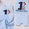image:imageIDOPIP Baby Boy 1st Birthday Outfit Embroidery Plaid Striped Romper Sleeveless Jumpsuit Summer Overalls Cake Smash PhotoshootBlue Striped Cake