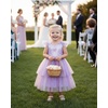 image:imageIDOPIP Toddler Baby Girls Shiny Butterfly Tutu Dress Princess Birthday Party Pageant Flower Girl Wedding Tulle Dresses 26TPurple  Stars