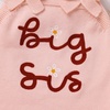 image:imageIDOPIP Baby Girls Embroidered Romper First Birthday Outfit Little Big Sister Knit Sweater Romper Cake Smash Photo Shoot DressPink  Big Sis