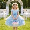 image:imageIDOPIP Toddler Girl Flower Girl Dress Lace Tulle Tutu Ball Gown for Wedding Birthday Baptism Photoshoot 15 YearsBlue