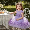 image:imageIDOPIP Toddler Girl Flower Girl Dress Lace Tulle Tutu Ball Gown for Wedding Birthday Baptism Photoshoot 15 YearsPurple