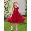 image:imageIDOPIP Toddler Flower Girl Dress for Wedding Girls Lace Sequins Tutu Tulle Princess Birthday Pageant Dress 39 YearsRed