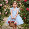 image:imageIDOPIP Flower Girl Dress Toddler Birthday Dress 3D Butterfly Bowknot Tulle Tutu Sundress for Wedding Party Casual 310 YearsBlue