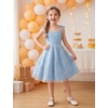 image:imageIDOPIP Embroidery Flower Girl Lace Dess for Kids Party Wedding Bridesmaid Tulle Dresses Princess Pageant Birthday Floral GownLight Blue
